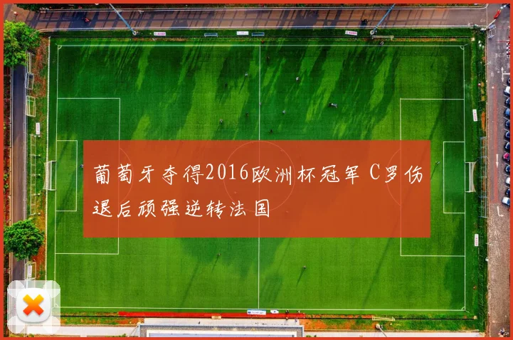 葡萄牙夺得2016欧洲杯冠军 C罗伤退后顽强逆转法国