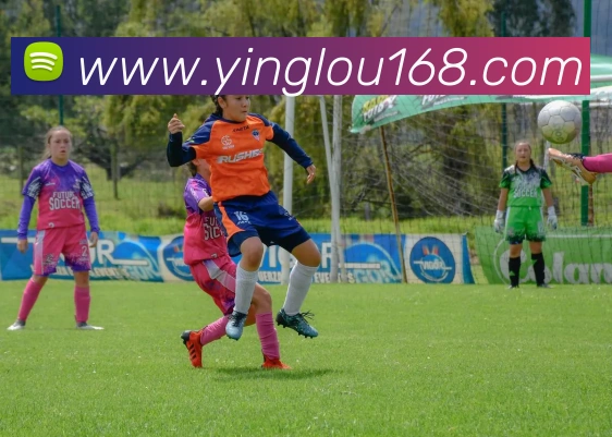 ac米兰最新官网平台生态图